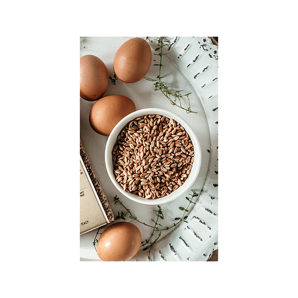 ANCIENT GRAINS FARRO https://fontanaformiello.com/public/finder/layout/immagini/products/grains/